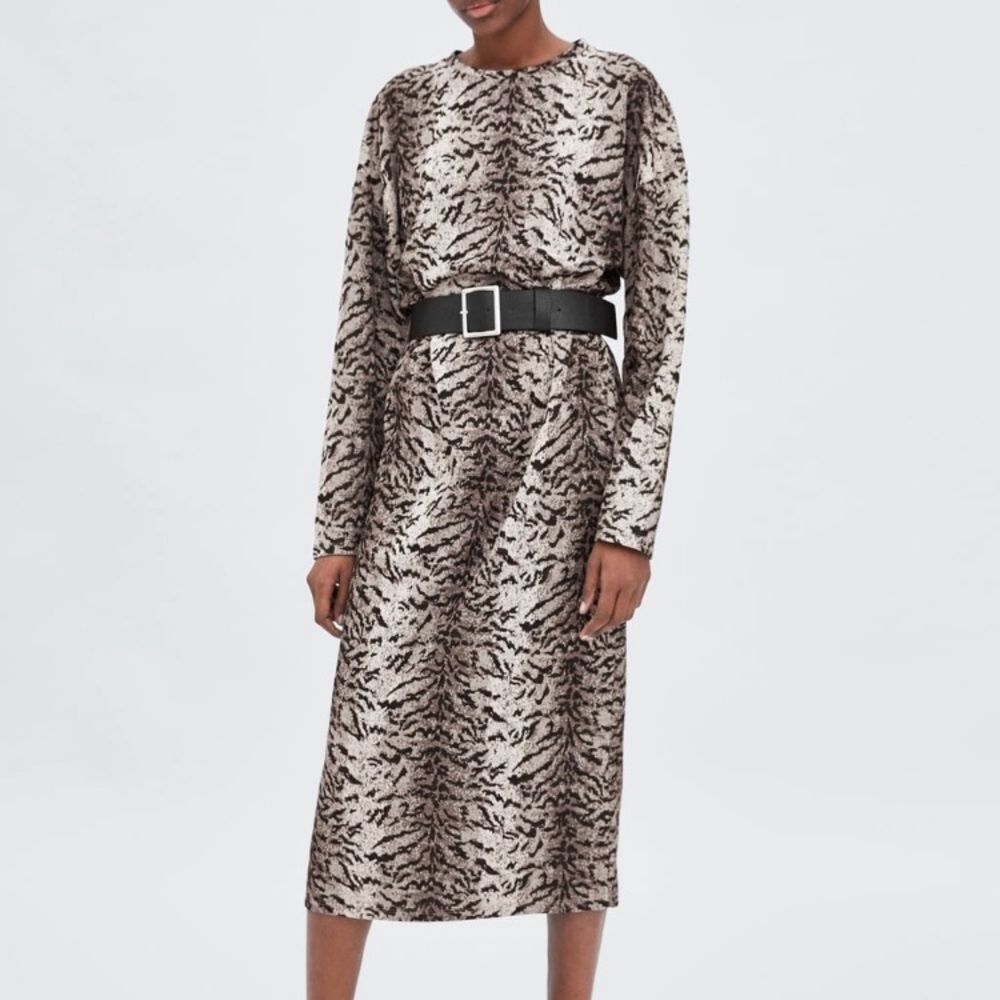 Zara Snakeprint Midi Dress with Belt